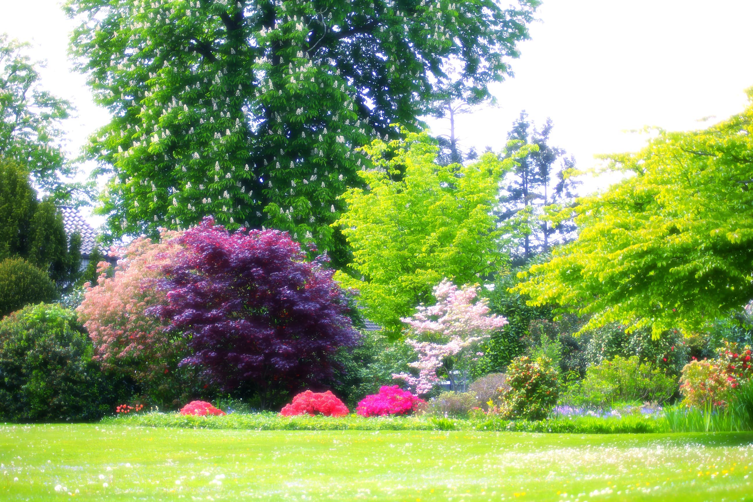 Gepflegter Garten mit blühenden Pflanzen